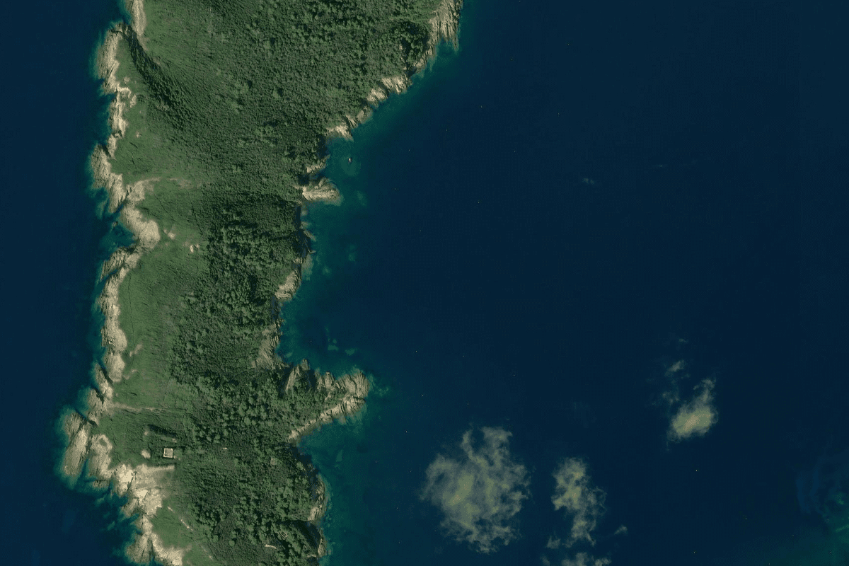 Île de Bagaud (ZMEL) (1) - Photo 1