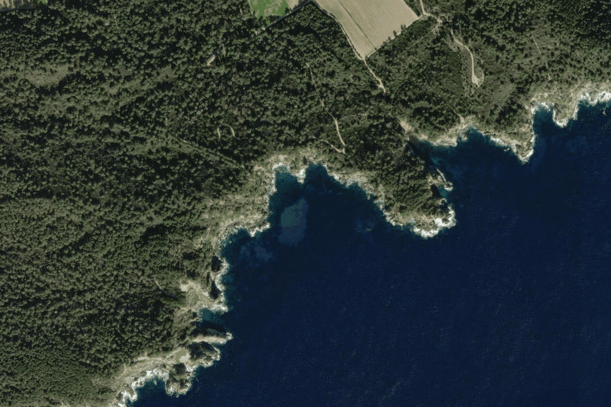 La Grand-Cale — Porquerolles - Photo 1